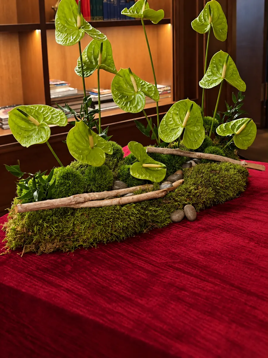 Aranjament lung cu anthurium verde și mușchi, pe o masă cu catifea roșie